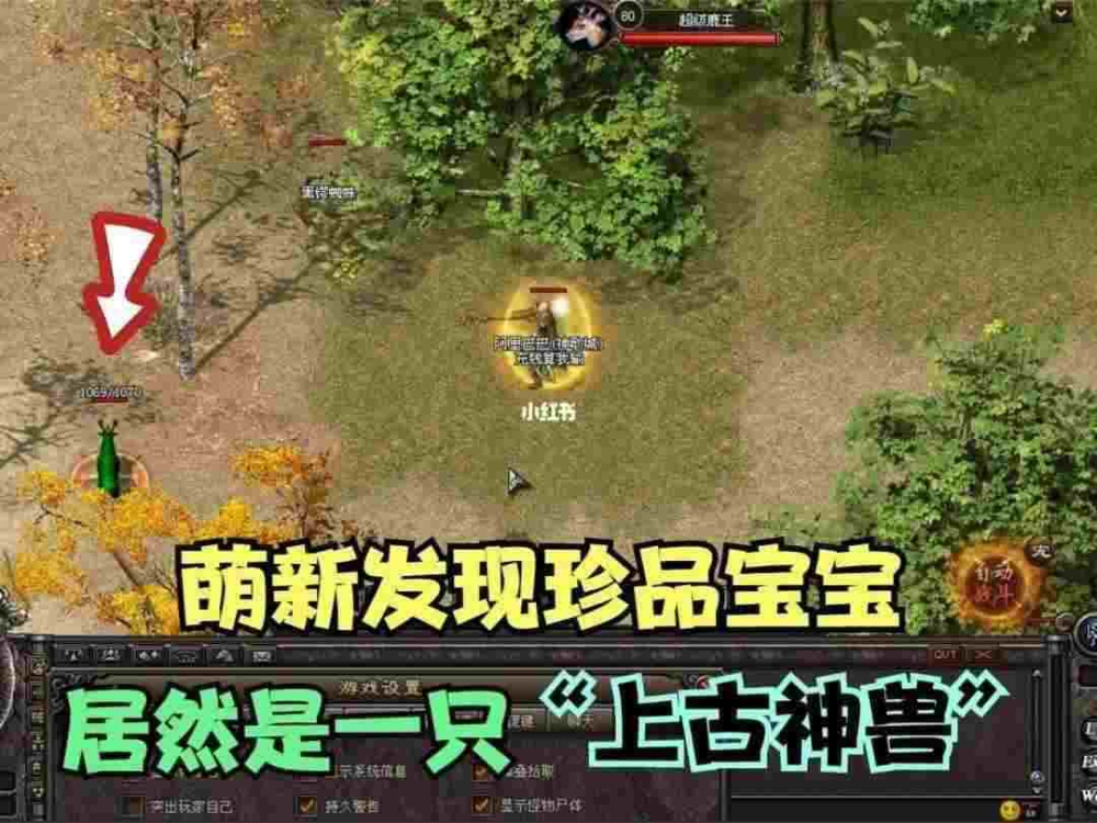 传奇手游装备怎么玩的视频,传奇手游装备怎么玩?完整视频教程+问答解析